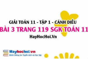 Giải bài 3 trang 119 Toán 11 tập 1 SGK Cánh Diều